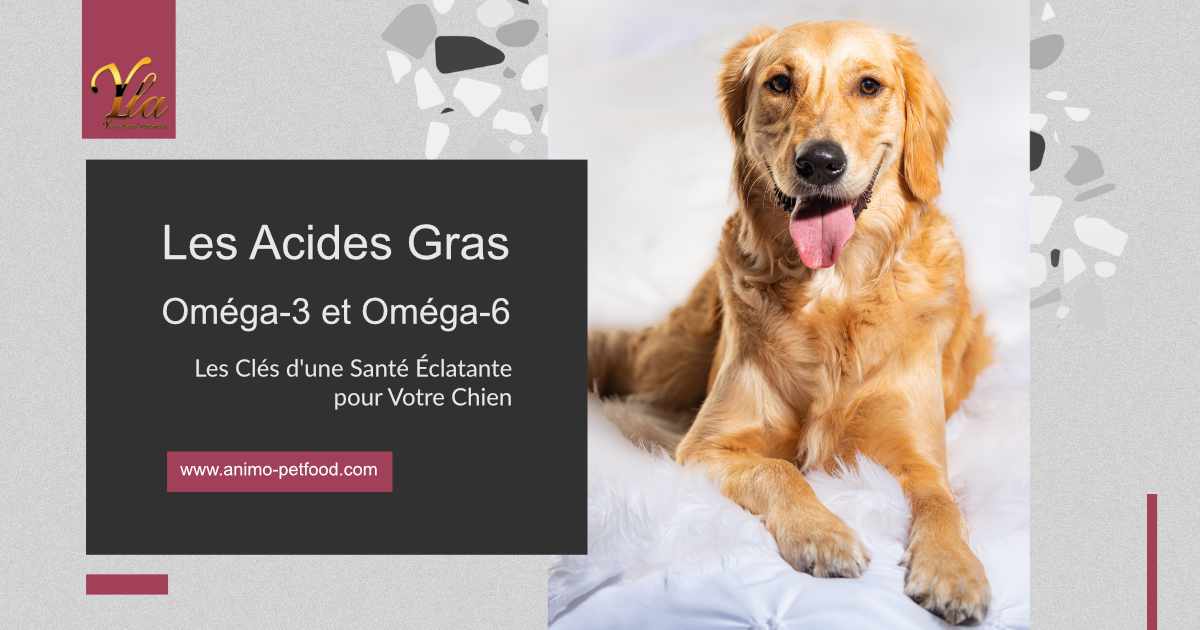 bienfaits-des-acides-gras-omega-3-et-omega-6-pour-les-chiens